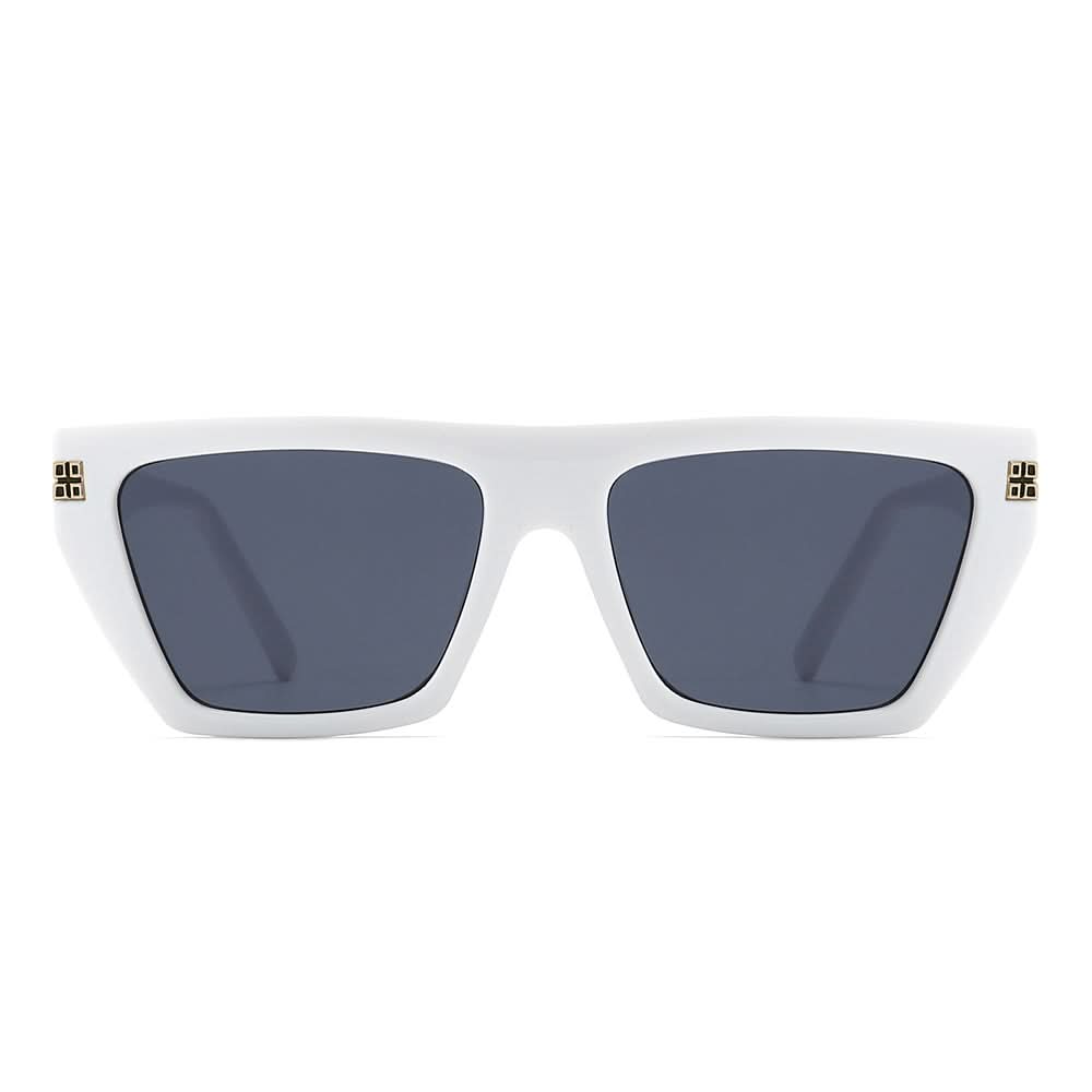 Dollger Thick Geek-Chic Geometric Tinted Sunglasses